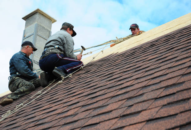 Quick and Trustworthy Emergency Roof Repair Services in Westfield, IN
